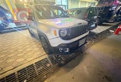 جيب رينيجيد